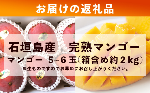 2026年発送分【先行予約】石垣島産《樹齢30年》マンゴー (アーウィン種) 5~6玉(箱含め約2kg) 《2026年7月以降より順次発送》石垣さんちの石垣トロピカルファーム TP-2