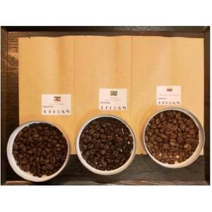 【2ヵ月毎定期便】厳選コーヒー豆100g×5種類セット全3回【4055201】