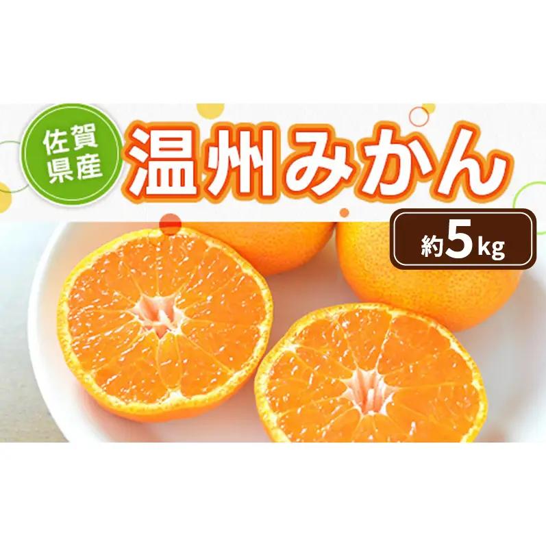みかん 佐賀県産 温州みかん みかん【約5kg】