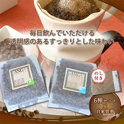 【のし付き】サンガコーヒー〈豆〉100g×6種