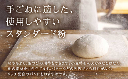 マンデーブランチ 500g（250g×2） 強力粉 小麦粉