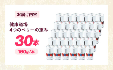 健康道場 4つのベリーの恵み 160g×30本[AOAD052]健康飲料