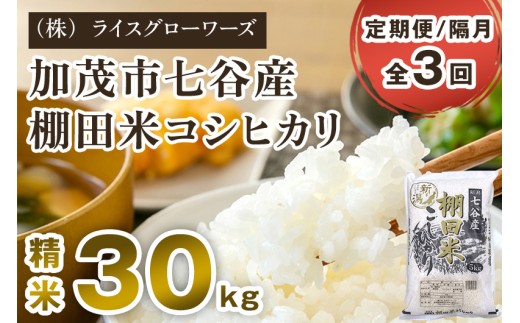【令和8年産新米先行予約】【定期便3回隔月お届け】新潟県加茂市 七谷産 棚田米コシヒカリ 精米30kg（5kg×6）《10月上旬～順次出荷》 白米 （株）ライスグローワーズ