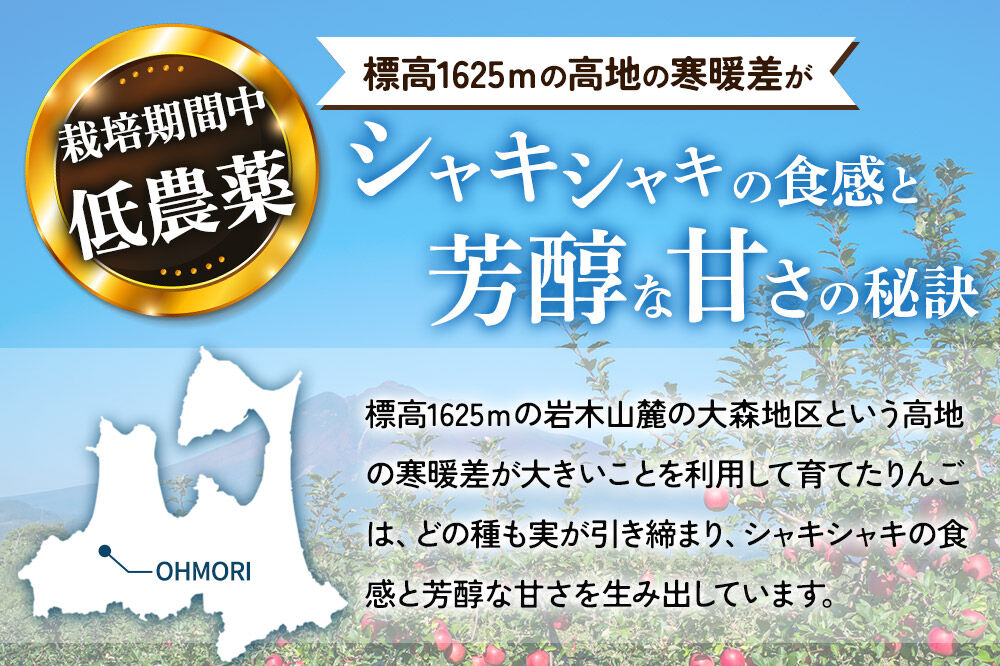 【26年11月下旬～発送】りんご 葉とらず ふじ【上級品】約3kg 先行受付 青森県 弘前市 果物 フルーツ 林檎 リンゴ くだもの ギフト 贈り物 贈答 [先行予約 産地直送 アップル おいしい 果実 美味 甘い 赤色]