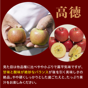 【先行予約】 令和8年産 高徳 りんご 秀以上 約1.8kg