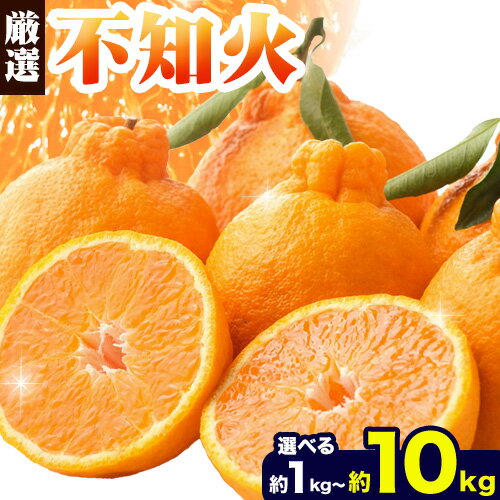 【ふるさと納税】プリッと濃厚!!旬を厳選 不知火 デコポン 同品種 みかん 選べる 1kg 2.5kg 5kg 10kg 池田鹿蔵農園 《2026年2月上旬-3月末頃より出荷予定》和歌山県 日高町 送料無料 しらぬい でこぽん 濃厚 厳選みかん 厳選デコポン 傷み補償分付き【配送不可地域あり】