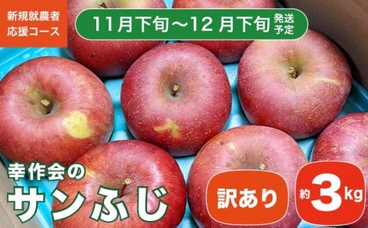 【訳あり】 先行受付 サンふじ 約3kg ［新規就農者応援コース 幸作会］｜フルーツ 果物 りんご 林檎 長野県産 信州産  令和8年産【2026年11月下旬～12月下旬発送】［KH-50］