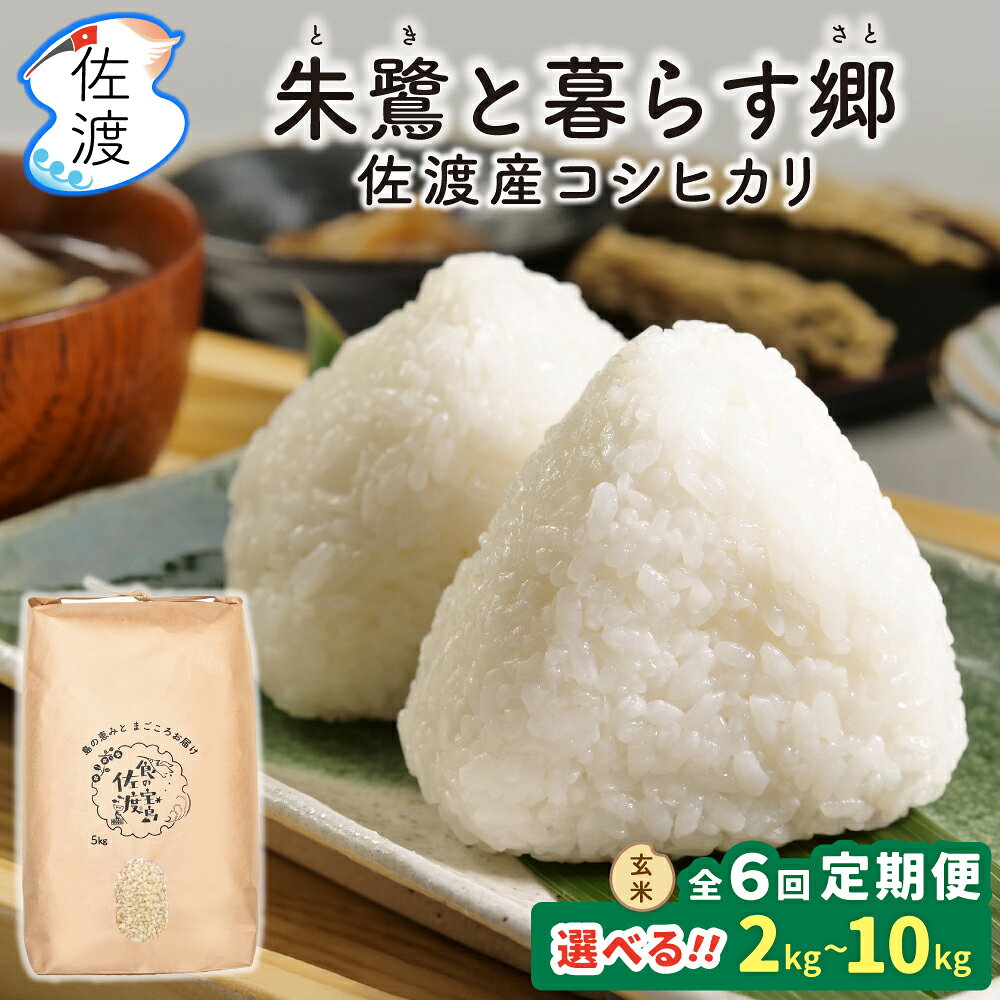 【ふるさと納税】【6か月定期便】玄米 コシヒカリ 2kg 5kg 10kg 選べる 令和8年産 特別栽培米 朱鷺と暮らす郷 佐渡島産 こしひかり お米 ごはん おにぎり 新潟県 佐渡市