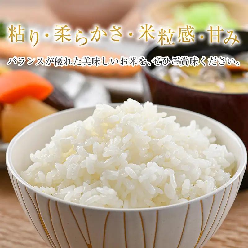 【令和7年産】定期便3回 いちほまれ 精米 10kg×3回（計30kg）《お米マイスターが発送直前に精米！》／ 福井県産 ブランド米 ご飯 白米 新鮮 [aw064-h005]