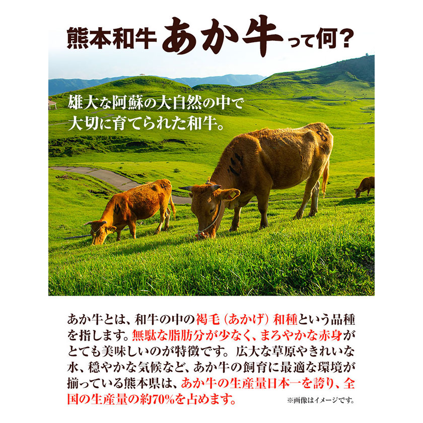 熊本和牛あか牛 サーロインステーキ 400g 200g×2《60日以内に出荷予定(土日祝除く)》三協畜産 あか牛 牛肉---sms_fskasrnstk_r7_60d_30000_400g---