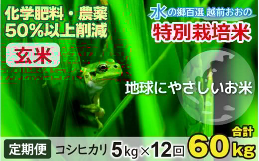 【令和7年産 】【12ヶ月定期便】こしひかり 5kg × 12回 計 60kg【玄米】減農薬・減化学肥料 「特別栽培米」－地球にやさしいお米－