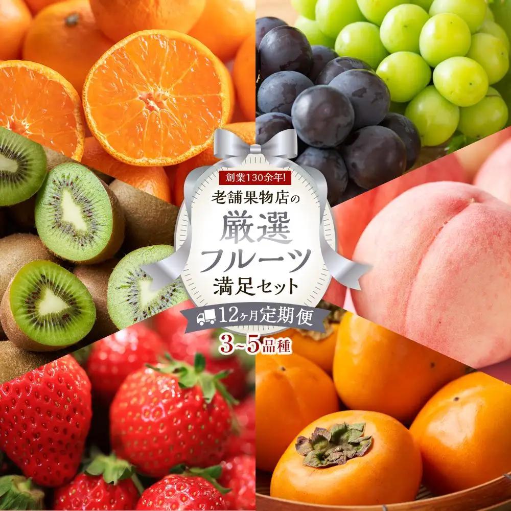 【12ヶ月連続定期便】 創業130余年！老舗果物店の厳選フルーツ詰合せ♪満足セット（3～5品種）