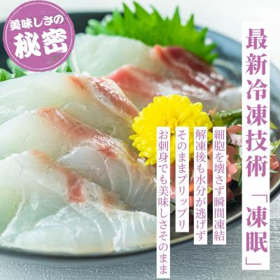 ふるさと納税 竹原市 瀬戸内 天然真鯛 丸ごと姿(うろこ・内臓除去済) 4〜6匹入り 合計2kg |  | 02