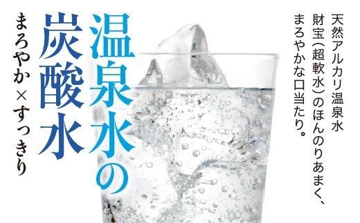 E5-2258／【6回定期】財寶温泉 強炭酸水500ml×24本