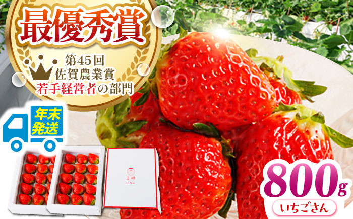 
                  【農薬0への挑戦】【年末発送】王様のいちご いちごさん 800g（400g×2箱）【むらおか農園】 [HAF028] 年内発送
                