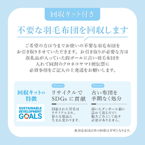 【甲州羽毛本掛けふとん】銀の糸×アイダーダウン95%二層本掛け (ダブル / アイボリー) お任せカバー付き 掛け布団 ダブル ふとん 寝具 羽毛布団 本掛け 抗菌 抗ウイルス 山梨 富士吉田