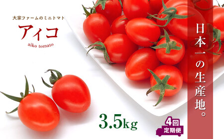 【定期4回】『大家ファーム』のミニトマト アイコ 3.5kg×4回 ｜ 野菜 やさい とまと トマト ミニトマト アイコ 熊本県 玉名市