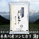 【ふるさと納税】米 新米【令和6年産 新米】新潟県産 コシヒカリ5kg 令和6年産 名水と翡翠の郷 糸魚川 厳選産地米 ギフト おもたせ 贈答 内祝 御祝 御中元 御歳暮 gift kome niigata itoigawa koshihikari 人気 おすすめ 新潟米 精米 おにぎり 弁当 米5kg 2024年 堀敬商事