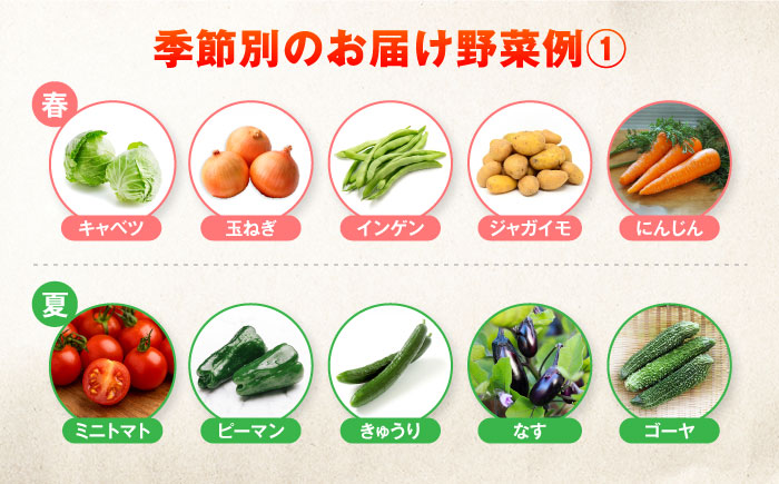 【一人暮らしに】有機農法・旬の野菜詰め合わせ 五島市/ぷらっと農園 [PDS005]