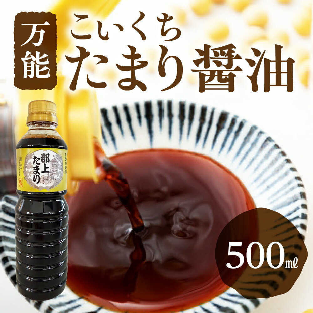 【ふるさと納税】醤油 郡上たまり 500ml 1本 しょうゆ 醤油 ペットボトル / 食品 調味料 セット 詰め合わせ 5000円[G0148]
