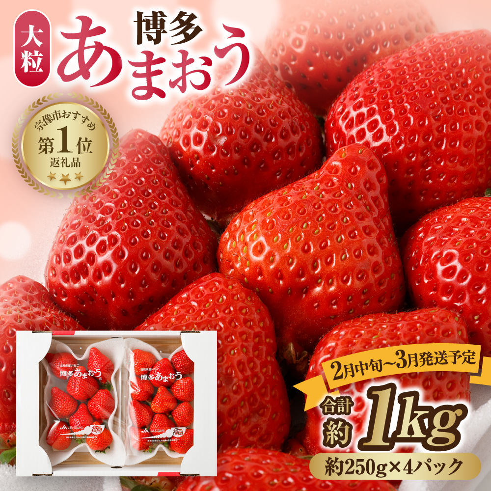 【先行予約】【アフター保証】大粒セレクト！大人気のあまおう 250g×4パック【2月中旬～3月発送】【JAほたるの里】 _HA0275
