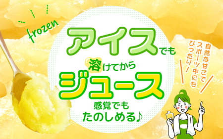 凍らせて食べるゼリー（メロン）180ml  10個入 アイス ゼリー [m01-b033]