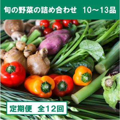 ふるさと納税 南国市 【毎月定期便】旬の朝採れ土佐野菜詰め合わせ大(10〜13品目)全12回