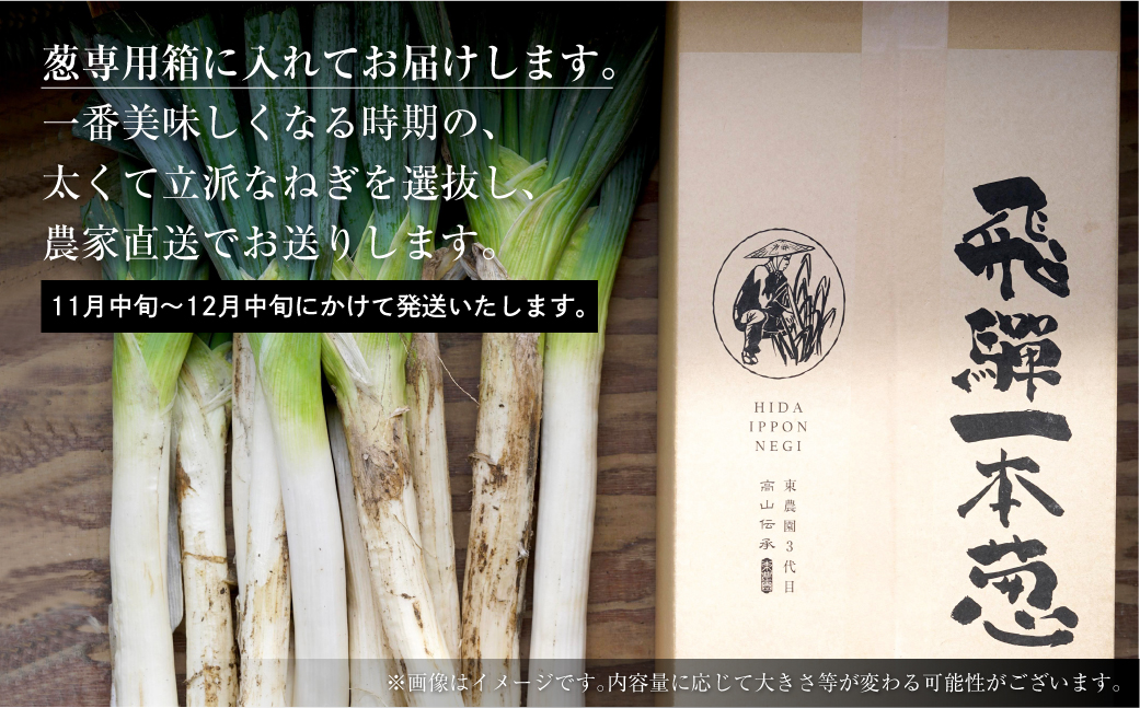 【先行予約】飛騨一本葱　プレミアム5キロ（15本‐20本） 《2026年 先行予約 数量限定 11月中旬～12月中旬より順次発送》 東農園 野菜 ねぎ  冬野菜 高級 レストラン御用達 すき焼き 鍋 