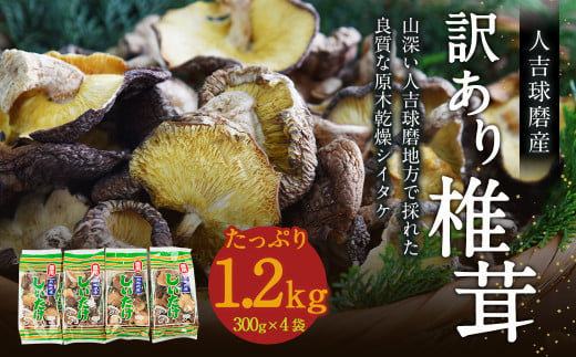 人吉球磨産 しいたけ 訳あり『業務用椎茸』 4袋【1.2kg!】