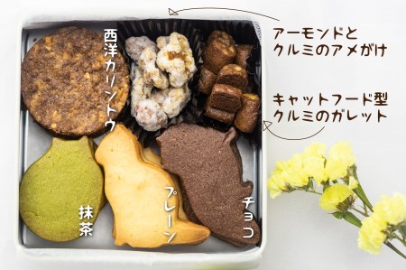 【クッキー缶】NEKOクッキー缶 クッキー詰め合わせ