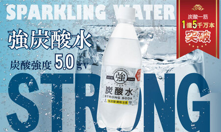 【定期便】（年/隔月）強炭酸水（500ml）2ケース（48本入り）×6回 水・ミネラルウォーター Q077-002