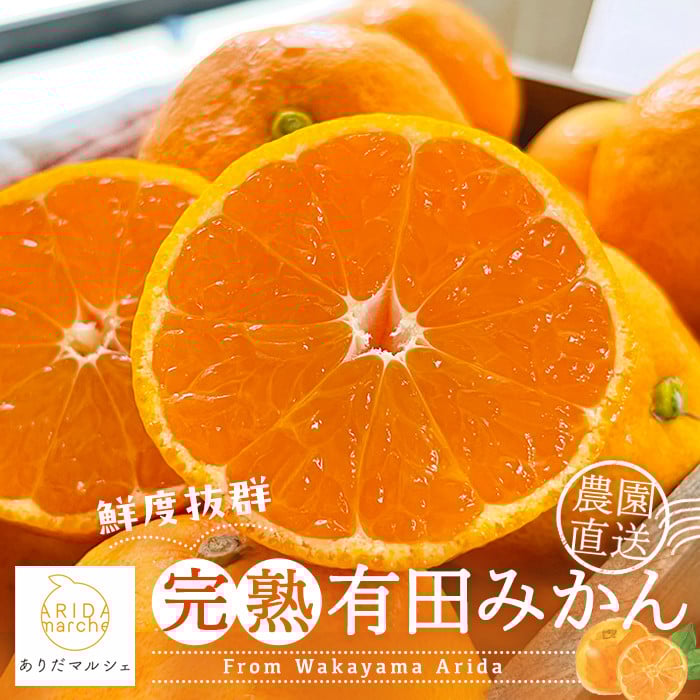 
            農園直送！完熟有田みかん【サイズ混合】 約10kg+200g【ard004C】
          