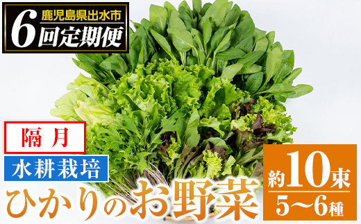 i678-A ＜定期便・計6回(隔月)＞ひかりのお野菜(約10束・5〜6種)【ひかりの郷】