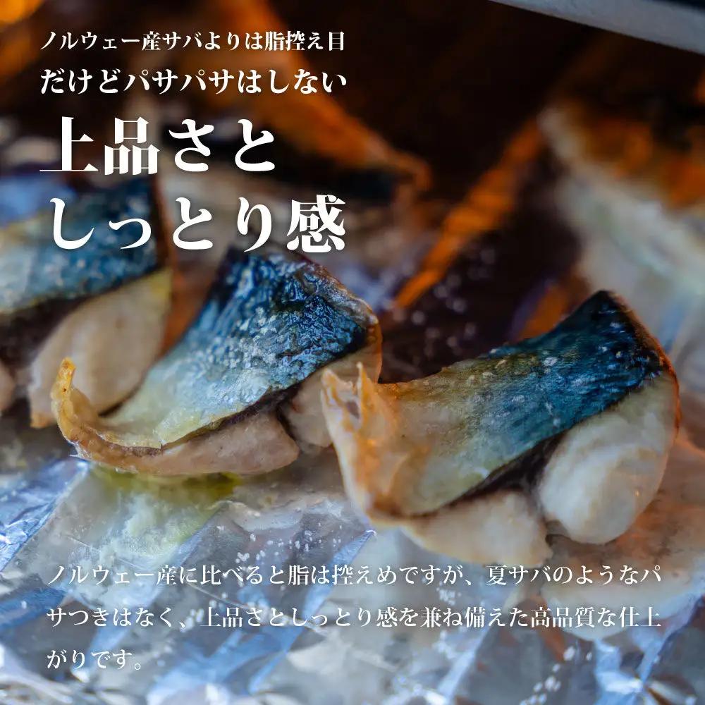 三陸常磐産 サバ 骨取切り身 30g×20枚入 鯖 冷凍 魚 おかず 魚のおんちゃま