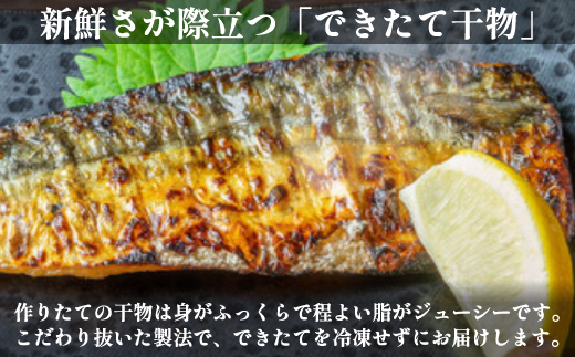 できたて干物!!さば6切れ【配送不可地域：離島】【1539826】