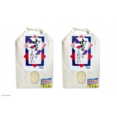 ふるさと納税 気仙沼市 米 宮城県産 ひとめぼれ 10kg (5kg ×2袋) 菊武商店 20565591 |  | 01