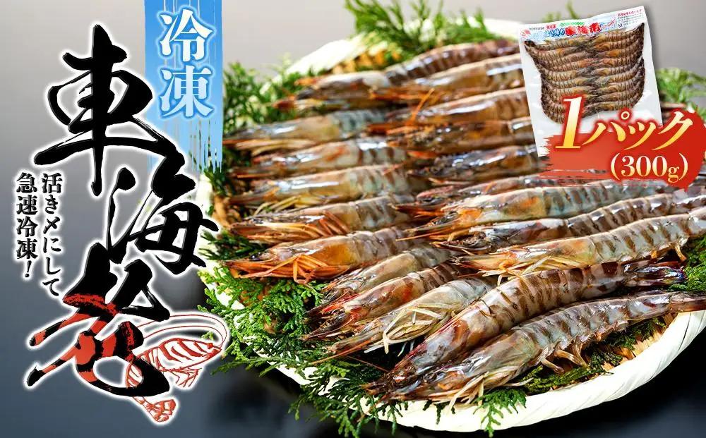 鹿児島県産 活き〆冷凍 車海老（養殖）Mサイズ300g（17～20尾）1パック セット【 エビ】