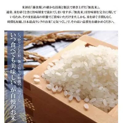 Y17-86 無洗米 元気つくし10kg定期便(毎月・年12回)