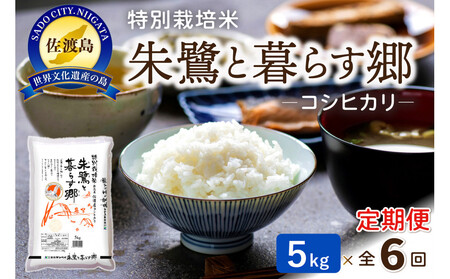 【6ヶ月連続お届け】佐渡産コシヒカリ 朱鷺と暮らす郷（5kg）