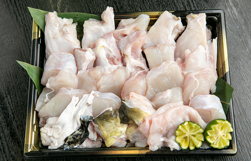 トラフグ てっちり（フグ鍋） 切り身