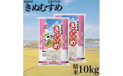 387KZ.鳥取県産きぬむすめ◇精米10kg◇令和7年産