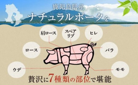 【G05031】＜一括送付＞鹿児島県産豚1頭ブロックセット(6箱・総量約50kg前後) ロース 肩ロース バラ ウデ モモ ヒレ スペアリブ 焼肉 トンカツ 焼き豚 チャーシュー 叉焼【大将食品】