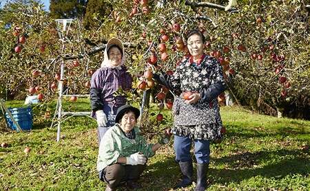 潮風りんごジュース1L×6本