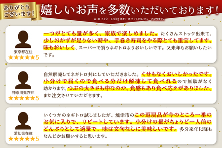 a10-519　1.5kg ネギトロ セット