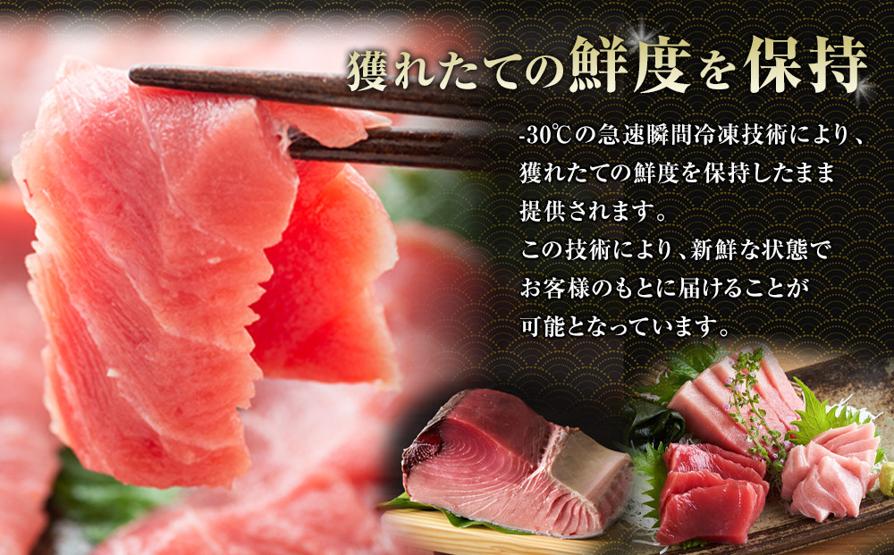 鹿児島県奄美大島産高級食材『黒いダイヤ』黒マグロ　Dセット