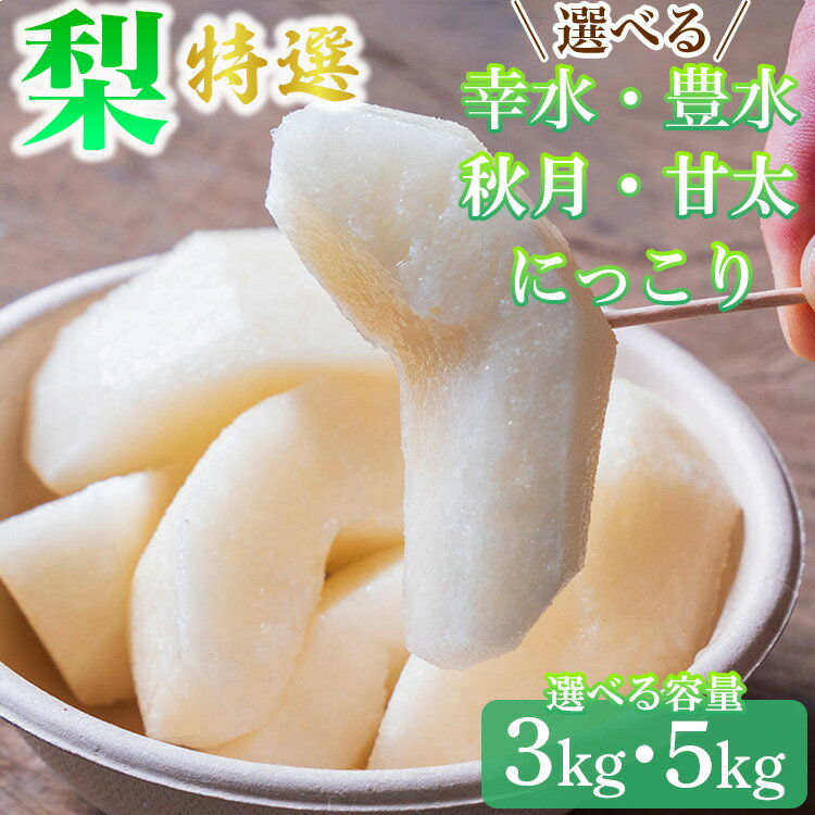【ふるさと納税】【先行予約】【選べる容量】梨 特選 3kg または 5kg 標準箱 幸水 豊水 秋月 甘太 にっこり｜ 栃木県産 果物 フルーツ 旬 産地直送 ※離島への配送不可