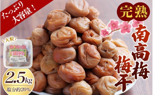 梅干し 無添加 完熟南高梅 2.5kg (1.25kg×2パック)  塩分約20％ 数量限定 サイズ混合 高評価 ご家庭用 梅干 梅 うめ ウメ 梅干 白干 白干し 白梅 白梅干し 人気 健康 ご飯のお供 お取り寄せ 予約 和歌山県 北山村【2026年9月上旬～順次発送】【njb647A】