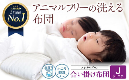 洗える 人工羽毛 合い掛け布団 〈ジュニア〉[BAAK032]キッズ 掛け布団