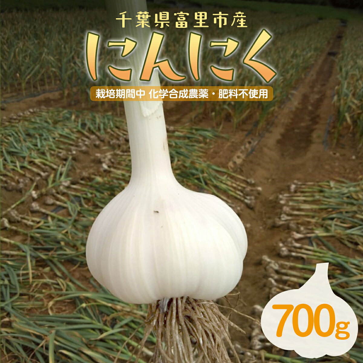 【ふるさと納税】にんにく 700g【ふるさと納税 人気 にんにく ニンニク スタミナ 薬味 料理 元気 疲労回復 免疫力 野菜 千葉県 富里市 送料無料 】 TMAE003