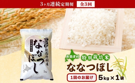定期便 3ヵ月 北海道 特別栽培 令和7年産 ななつぼし 5kg 精米 米 白米 お米  ごはん ご飯 ライス 道産米 ブランド米 新しのつ米 ふっくら 食味ランキング  産地直送 お取り寄せ カワサ